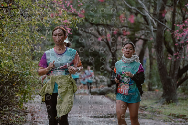 2026左岸竹東櫻花馬拉松Zhudong Sakura Marathon