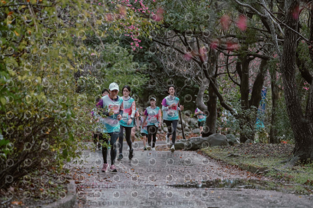 2026左岸竹東櫻花馬拉松Zhudong Sakura Marathon