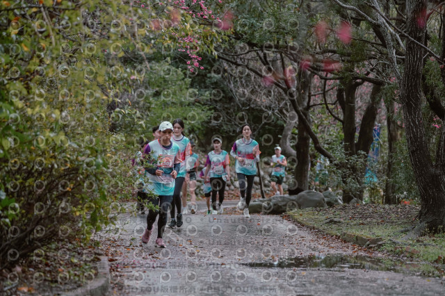 2026左岸竹東櫻花馬拉松Zhudong Sakura Marathon