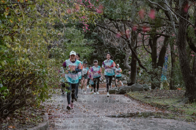 2026左岸竹東櫻花馬拉松Zhudong Sakura Marathon