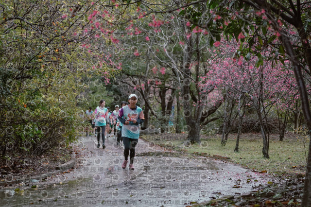 2026左岸竹東櫻花馬拉松Zhudong Sakura Marathon