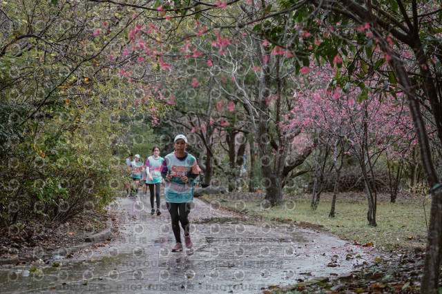 2026左岸竹東櫻花馬拉松Zhudong Sakura Marathon