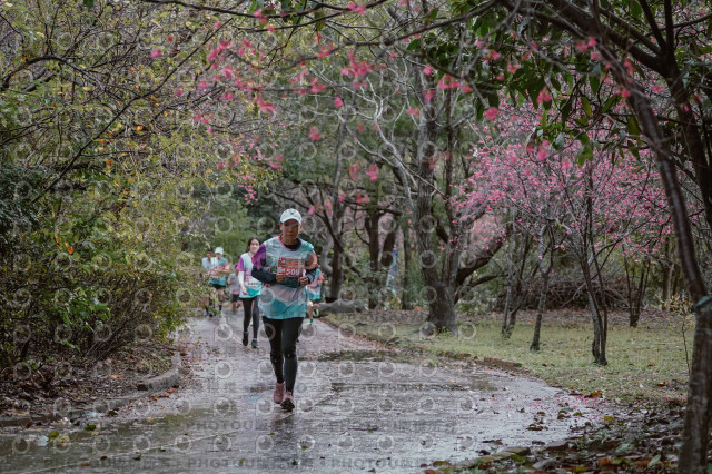 2026左岸竹東櫻花馬拉松Zhudong Sakura Marathon