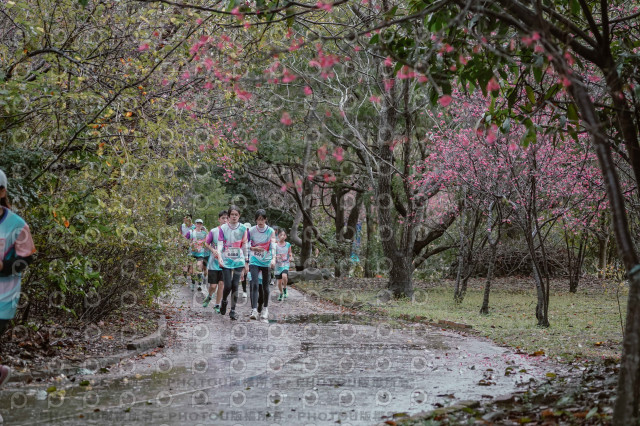 2026左岸竹東櫻花馬拉松Zhudong Sakura Marathon