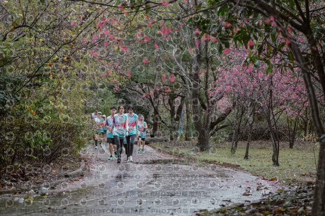 2026左岸竹東櫻花馬拉松Zhudong Sakura Marathon