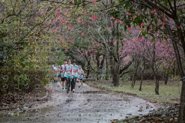 2026左岸竹東櫻花馬拉松Zhudong Sakura Marathon