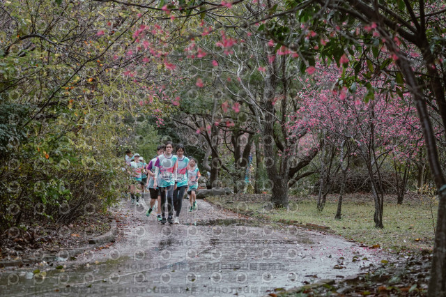 2026左岸竹東櫻花馬拉松Zhudong Sakura Marathon
