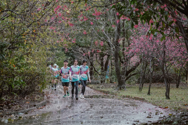 2026左岸竹東櫻花馬拉松Zhudong Sakura Marathon