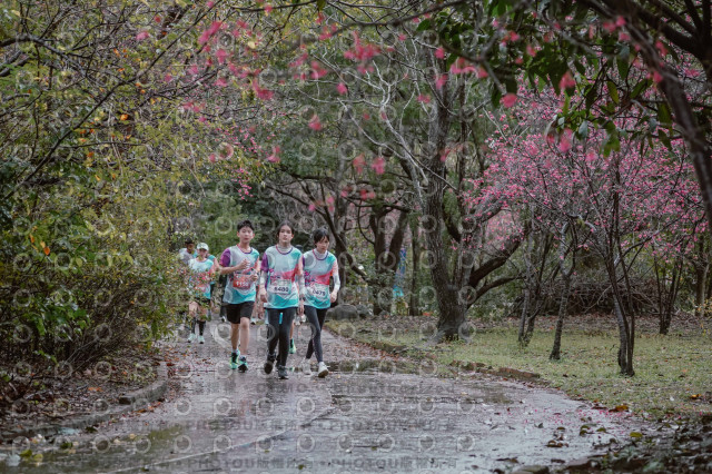 2026左岸竹東櫻花馬拉松Zhudong Sakura Marathon