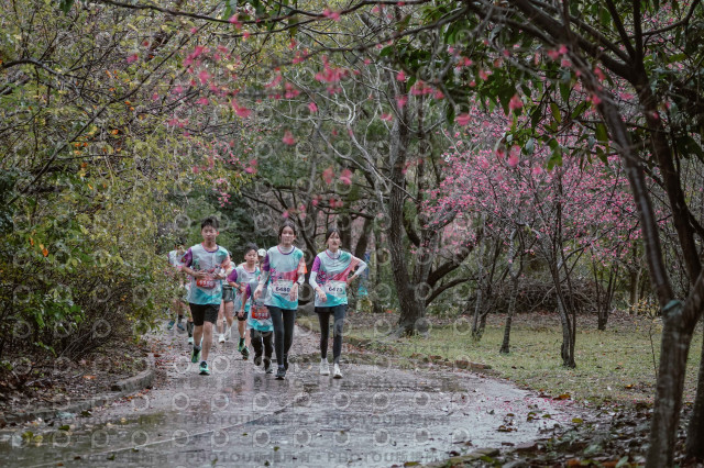 2026左岸竹東櫻花馬拉松Zhudong Sakura Marathon