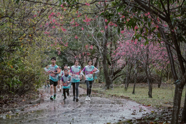 2026左岸竹東櫻花馬拉松Zhudong Sakura Marathon