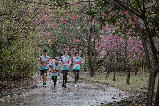 2026左岸竹東櫻花馬拉松Zhudong Sakura Marathon