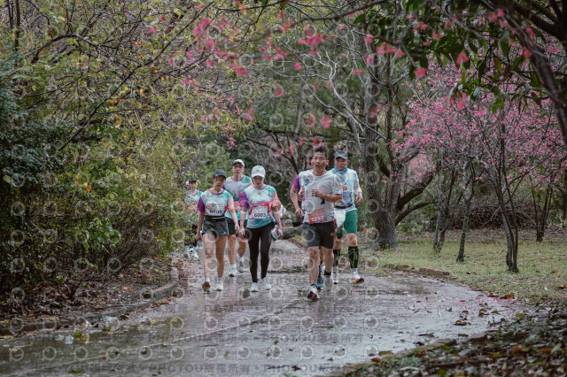 2026左岸竹東櫻花馬拉松Zhudong Sakura Marathon