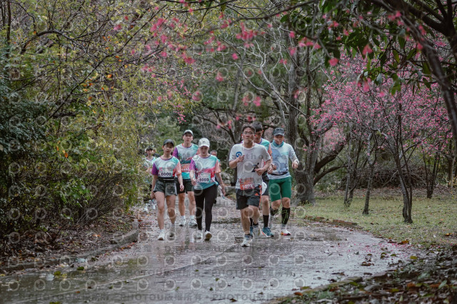 2026左岸竹東櫻花馬拉松Zhudong Sakura Marathon