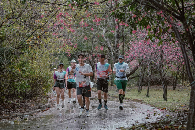 2026左岸竹東櫻花馬拉松Zhudong Sakura Marathon