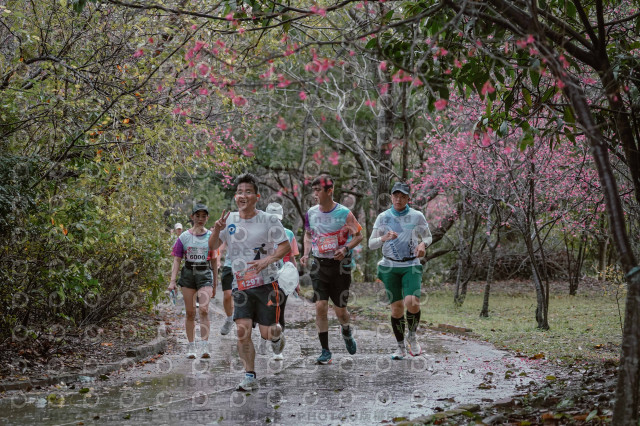 2026左岸竹東櫻花馬拉松Zhudong Sakura Marathon