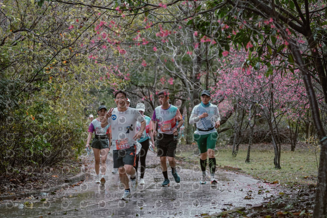 2026左岸竹東櫻花馬拉松Zhudong Sakura Marathon