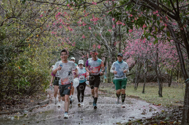 2026左岸竹東櫻花馬拉松Zhudong Sakura Marathon