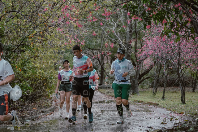 2026左岸竹東櫻花馬拉松Zhudong Sakura Marathon