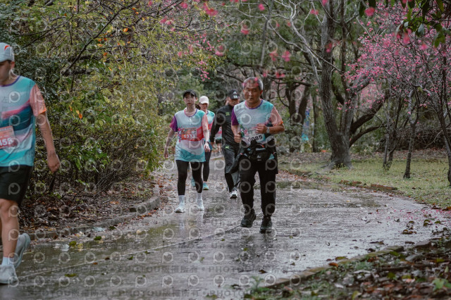 2026左岸竹東櫻花馬拉松Zhudong Sakura Marathon