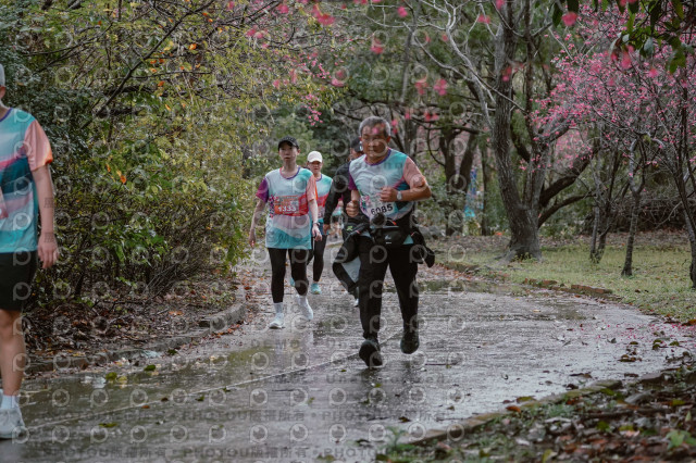 2026左岸竹東櫻花馬拉松Zhudong Sakura Marathon