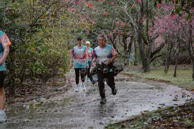 2026左岸竹東櫻花馬拉松Zhudong Sakura Marathon