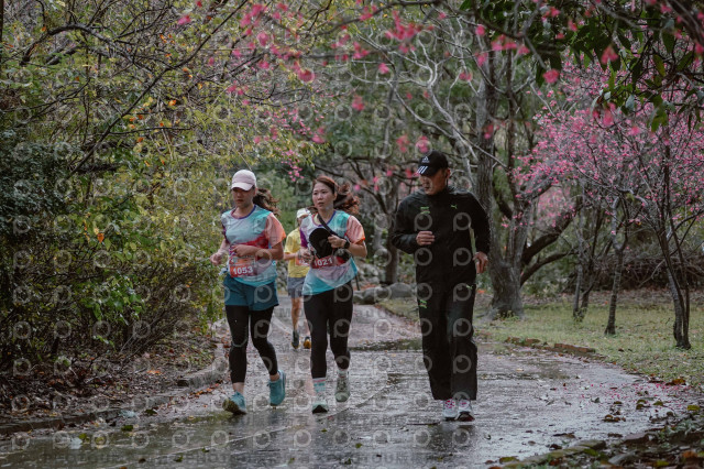 2026左岸竹東櫻花馬拉松Zhudong Sakura Marathon