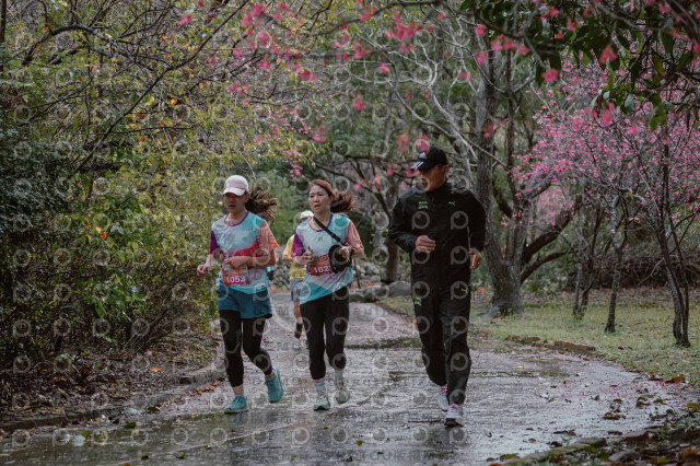 2026左岸竹東櫻花馬拉松Zhudong Sakura Marathon