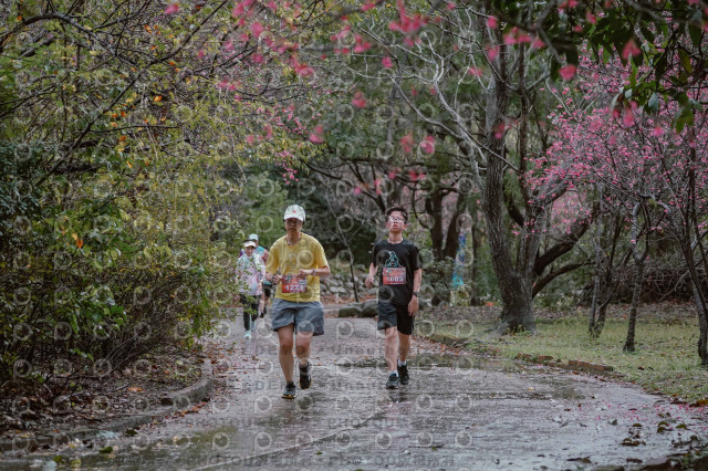 2026左岸竹東櫻花馬拉松Zhudong Sakura Marathon