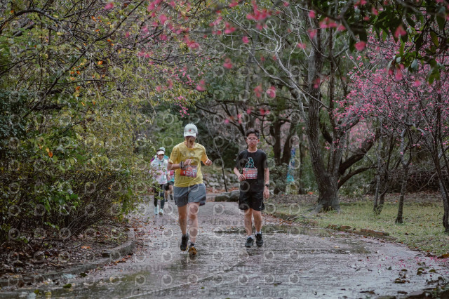 2026左岸竹東櫻花馬拉松Zhudong Sakura Marathon