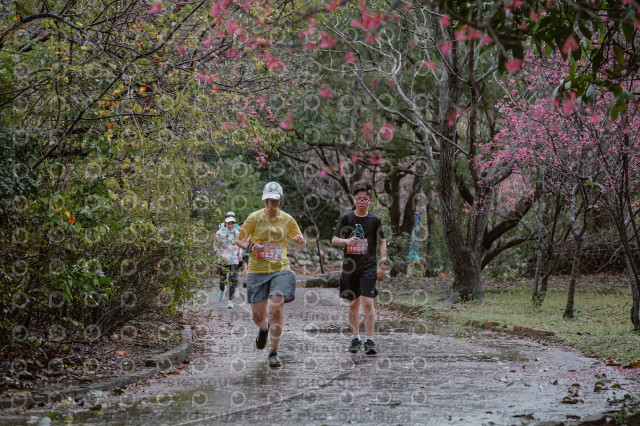 2026左岸竹東櫻花馬拉松Zhudong Sakura Marathon