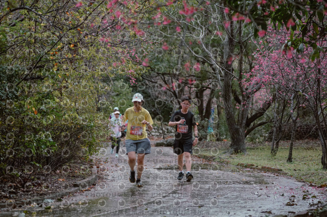 2026左岸竹東櫻花馬拉松Zhudong Sakura Marathon
