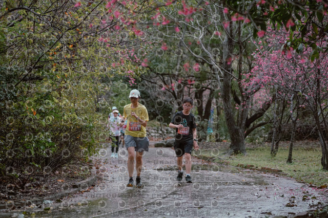 2026左岸竹東櫻花馬拉松Zhudong Sakura Marathon