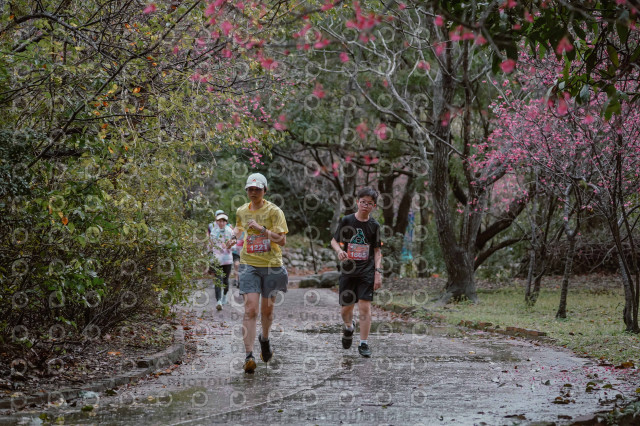 2026左岸竹東櫻花馬拉松Zhudong Sakura Marathon