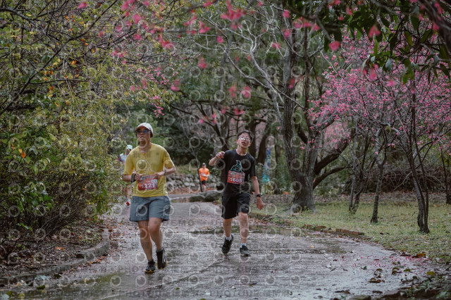 2026左岸竹東櫻花馬拉松Zhudong Sakura Marathon