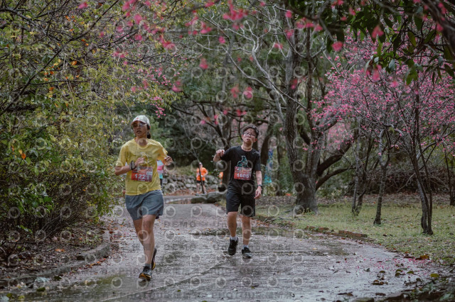 2026左岸竹東櫻花馬拉松Zhudong Sakura Marathon