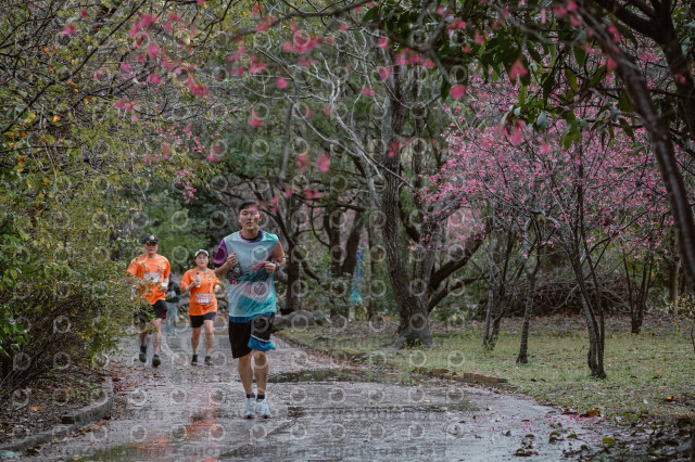 2026左岸竹東櫻花馬拉松Zhudong Sakura Marathon