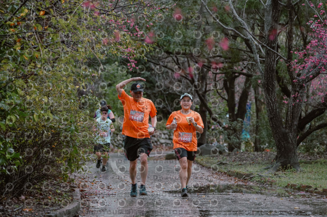 2026左岸竹東櫻花馬拉松Zhudong Sakura Marathon