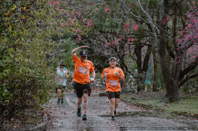 2026左岸竹東櫻花馬拉松Zhudong Sakura Marathon