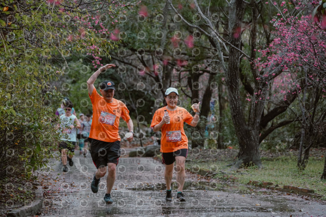 2026左岸竹東櫻花馬拉松Zhudong Sakura Marathon