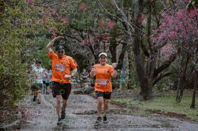 2026左岸竹東櫻花馬拉松Zhudong Sakura Marathon