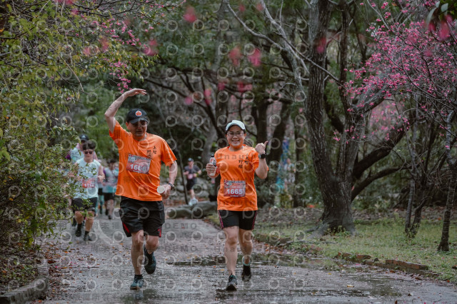 2026左岸竹東櫻花馬拉松Zhudong Sakura Marathon