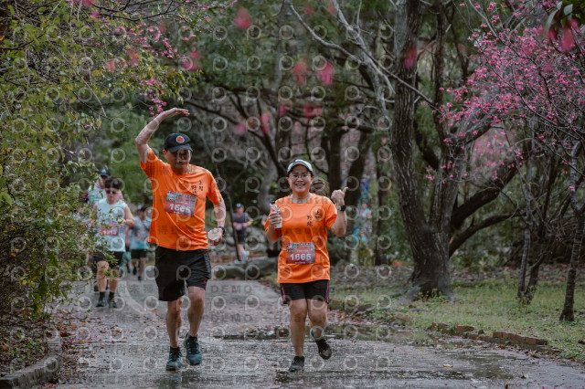 2026左岸竹東櫻花馬拉松Zhudong Sakura Marathon