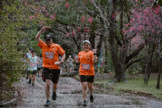 2026左岸竹東櫻花馬拉松Zhudong Sakura Marathon