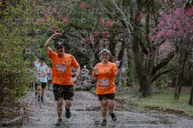 2026左岸竹東櫻花馬拉松Zhudong Sakura Marathon