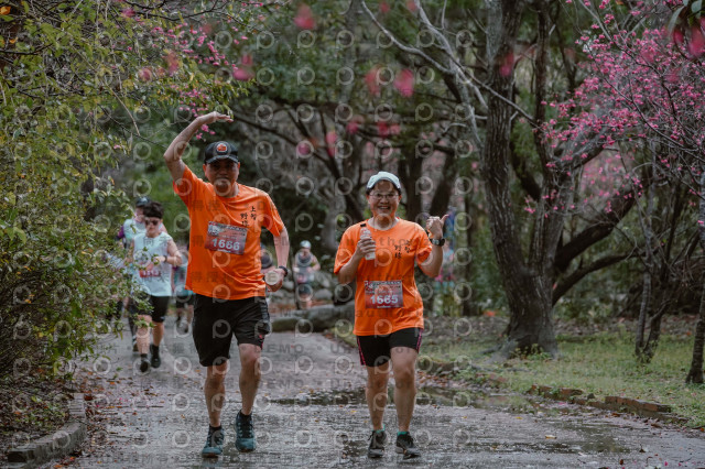 2026左岸竹東櫻花馬拉松Zhudong Sakura Marathon