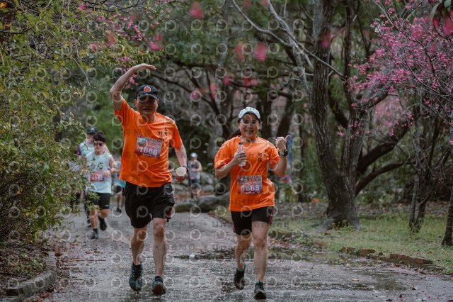 2026左岸竹東櫻花馬拉松Zhudong Sakura Marathon