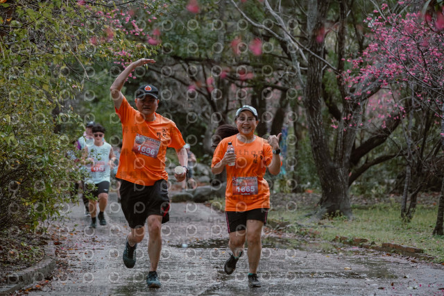 2026左岸竹東櫻花馬拉松Zhudong Sakura Marathon