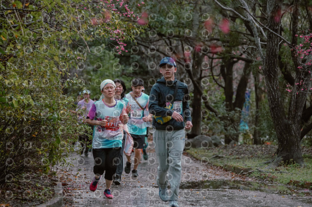 2026左岸竹東櫻花馬拉松Zhudong Sakura Marathon