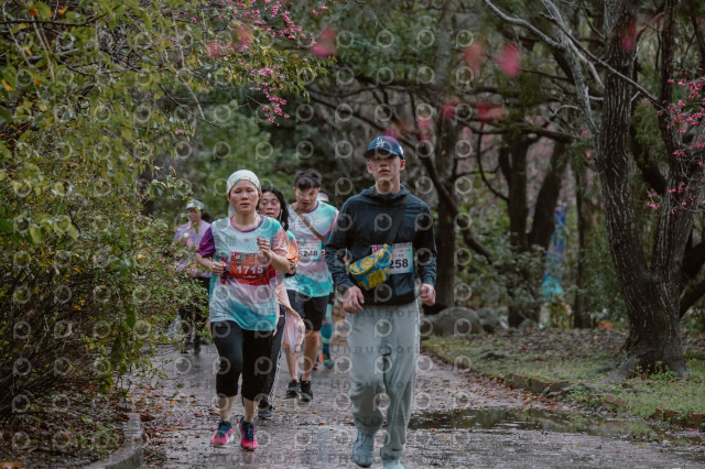 2026左岸竹東櫻花馬拉松Zhudong Sakura Marathon
